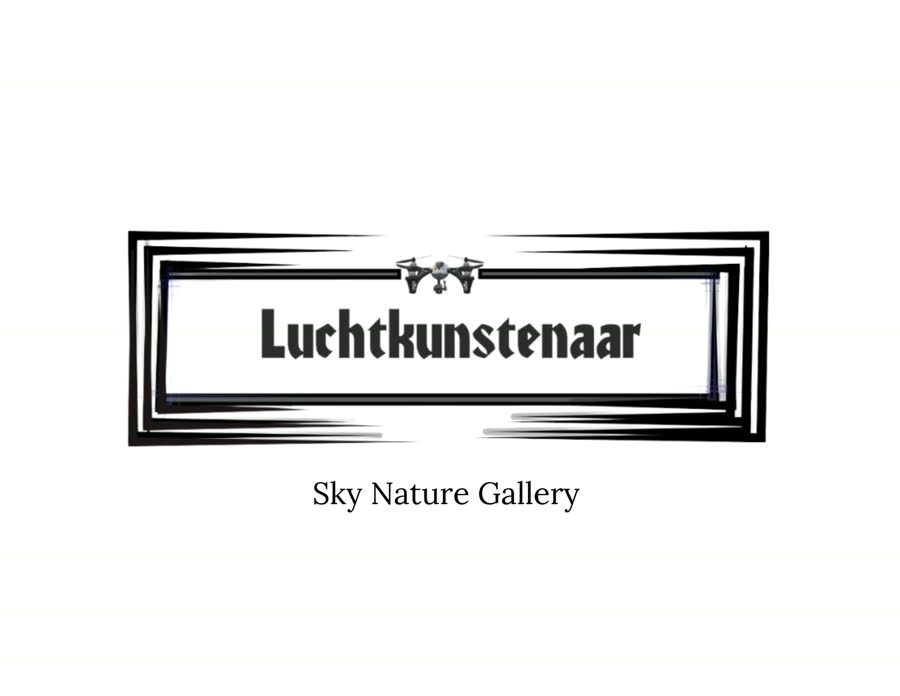 Luchtkunstenaar book